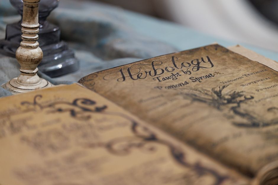 Vintage herbology book open on a table with a candle holder in the background.